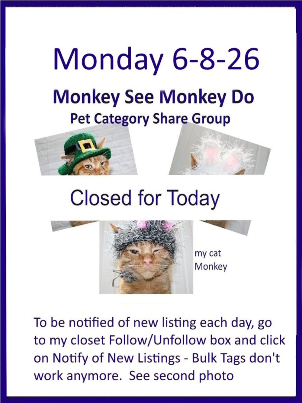 Monday 6-8-26 Dog Cat Small Animal Pet Share Discussion Group